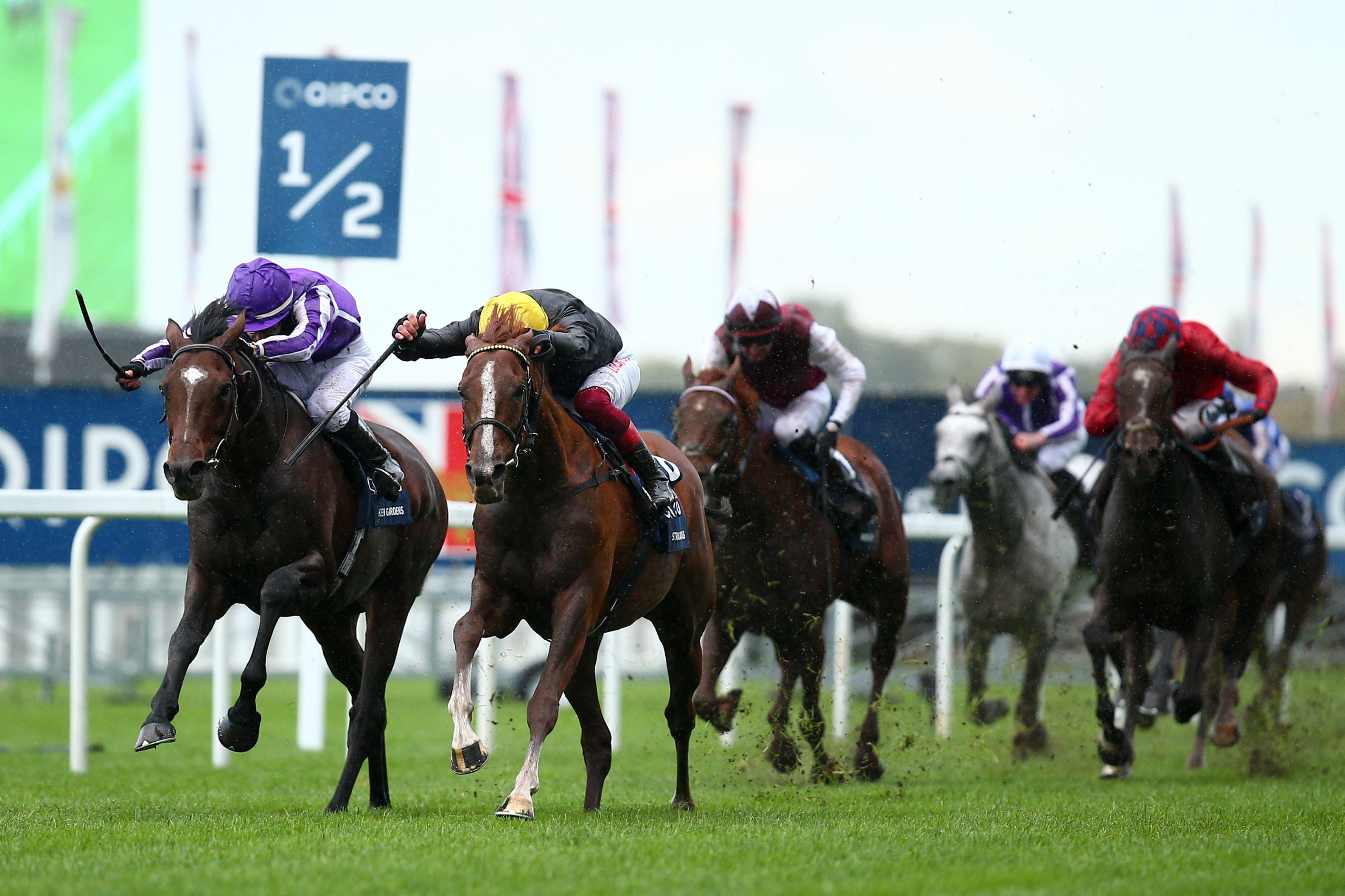 horse racing dubai bettingadvice